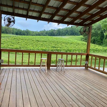 Eagle Mountain River Retreat Ellijay Exterior photo
